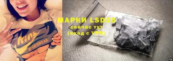 дмт Инсар