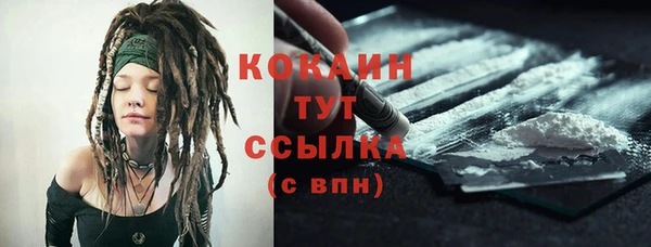 дмт Инсар