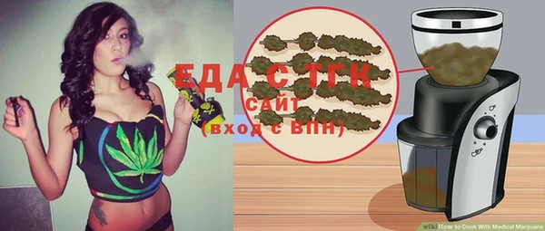 дмт Инсар