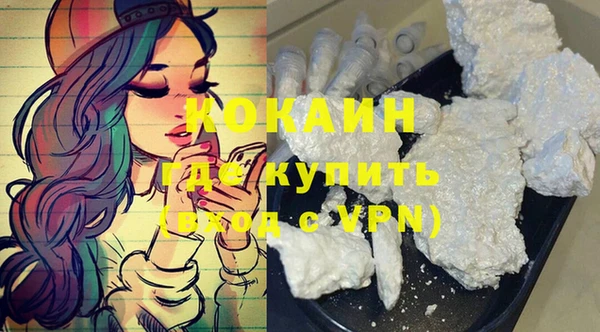 дмт Инсар