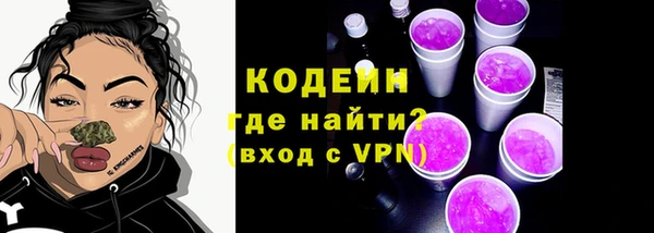 мяу мяу мука Иннополис