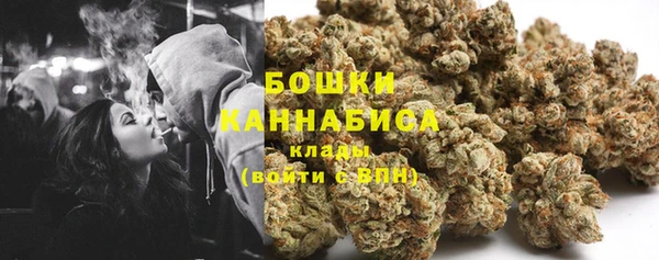 мяу мяу мука Иннополис