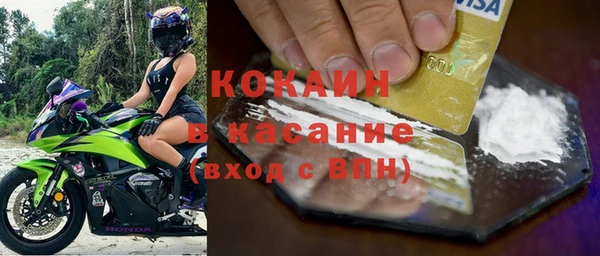 дмт Инсар