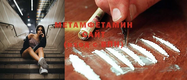 мяу мяу мука Иннополис
