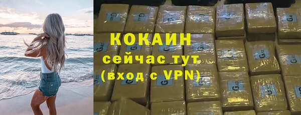 дмт Инсар
