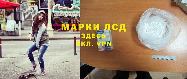мяу мяу мука Иннополис