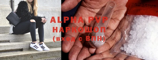 дмт Инсар