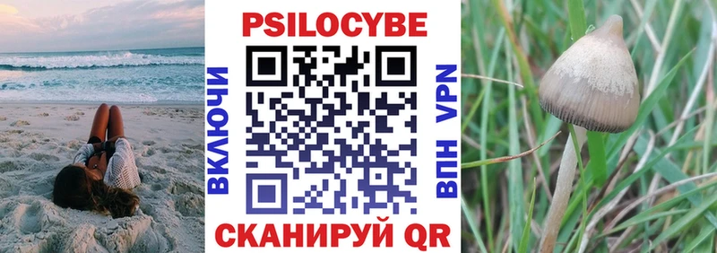 Купить Кировск Галлюциногенные грибы мицелий